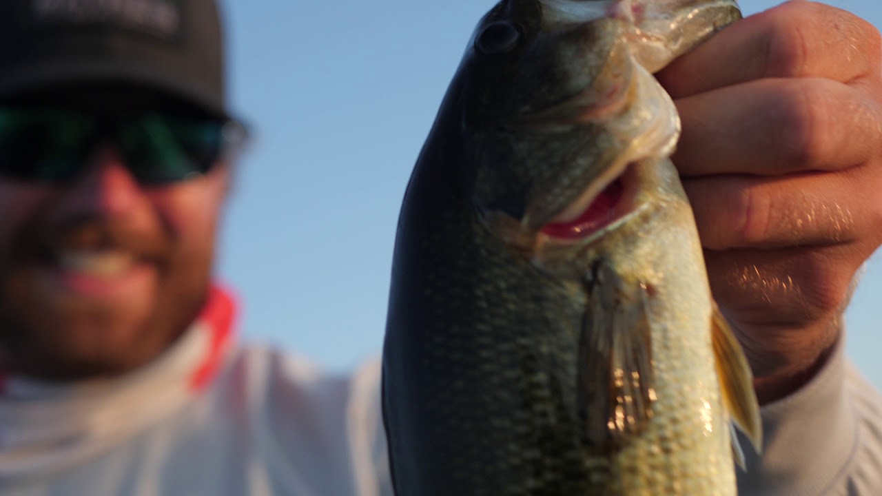 Liquid Mayhem Fish Attractant Must See Video!