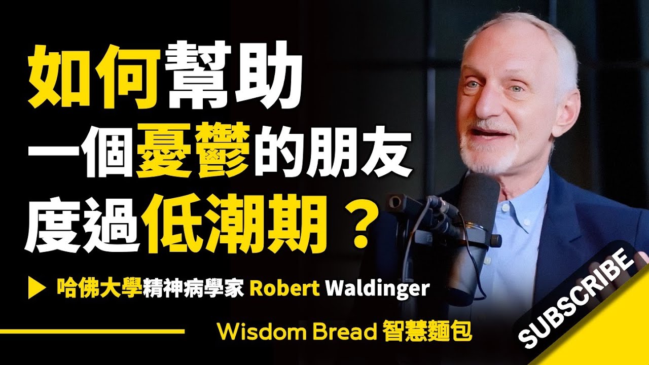 如何幫助一個憂鬱的朋友渡過低潮期？ ► 哈佛大學神經醫學教授 - Robert Waldinger 羅伯特&middot;沃爾丁格（中英字幕）