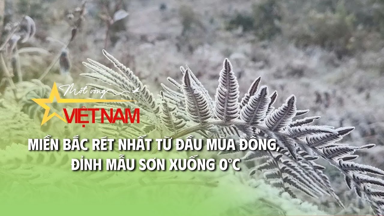 Cụm tin: Miền Bắc rét nhất từ đầu mùa Đông, đỉnh Mẫu Sơn xuống 0°C | Thời báo VTV