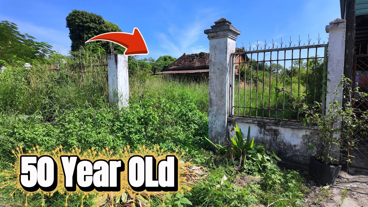 TIME LAPSE - A 50-Year-Old ABANDONED House MIRACULOUSLY Revived