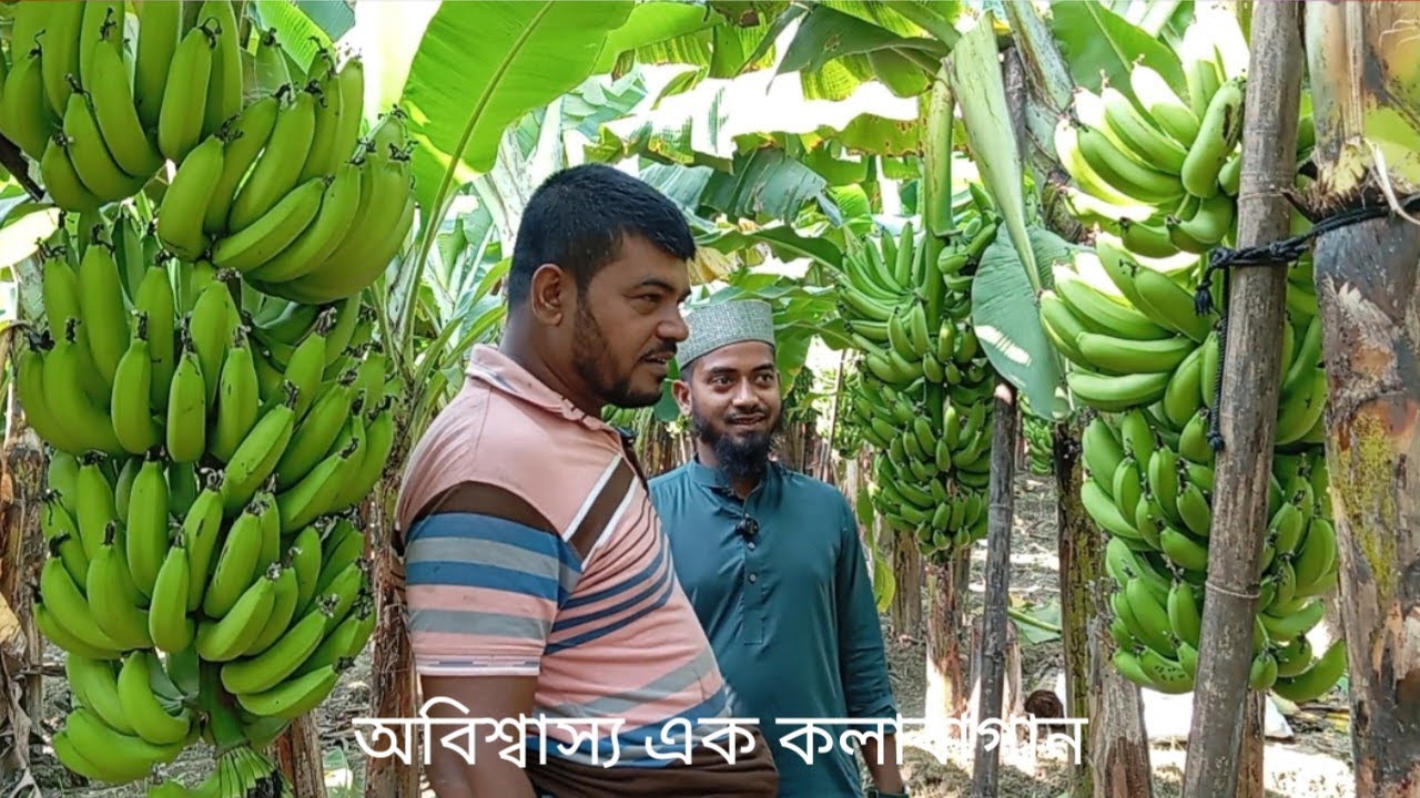 কাল বাগান||kolabagan#vlog#video