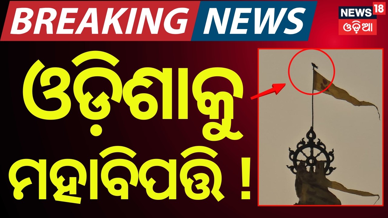 Live: Eagle Seen Sitting on Nila Chakra of Jagannath Temple | Devotees Speculate | Odia News