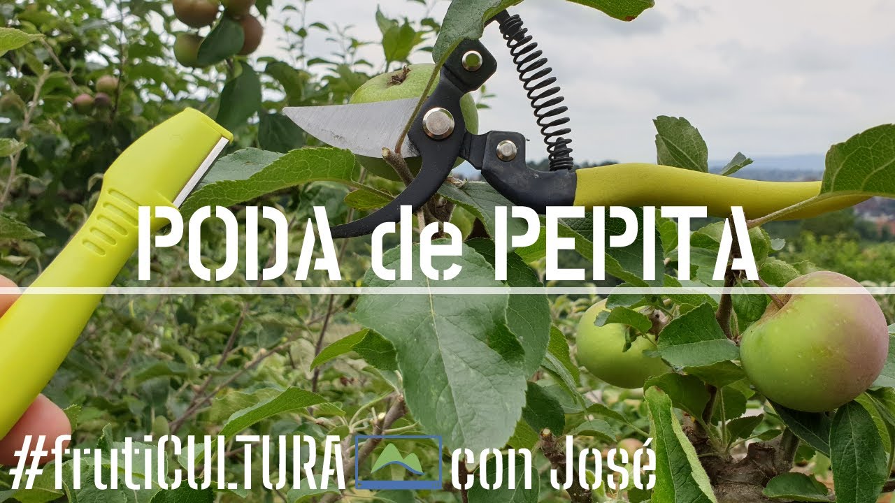 PODA en VERDE de FRUTALES de PEPITA #LdN #frutiCULTURA