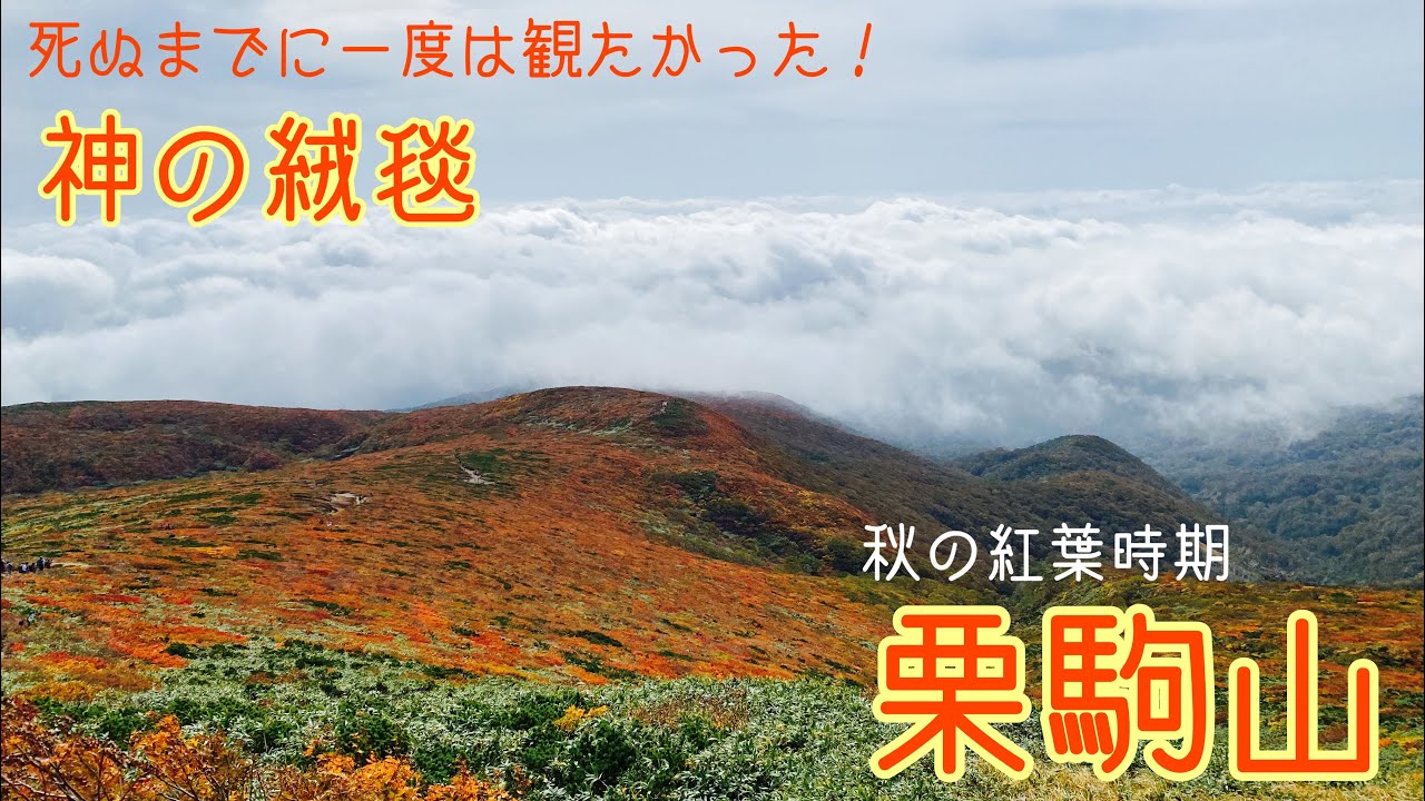 【神の絨毯は実在した】 栗駒山の秋の大絶景