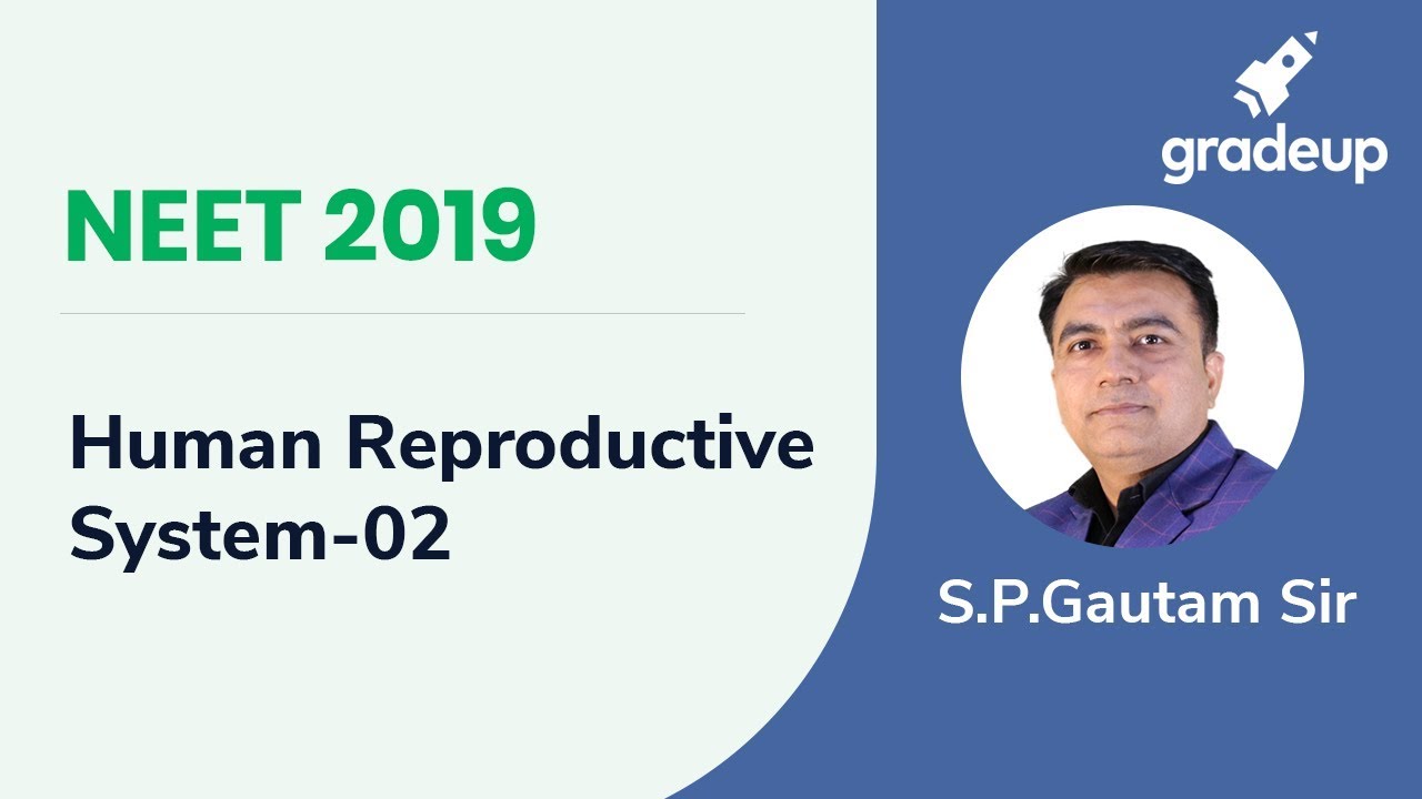 Human Reproductive System | Human Reproductive System Class 12 | NEET 2019 | Gradeup NEET