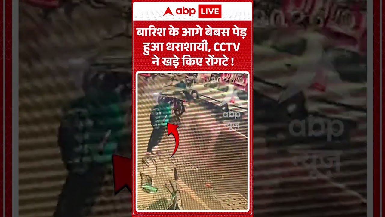 Viral News : बारिश के आगे बेबस पेड़ हुआ धराशायी, CCTV ने खड़े किए रोंगटे! | #viral #pune #rain