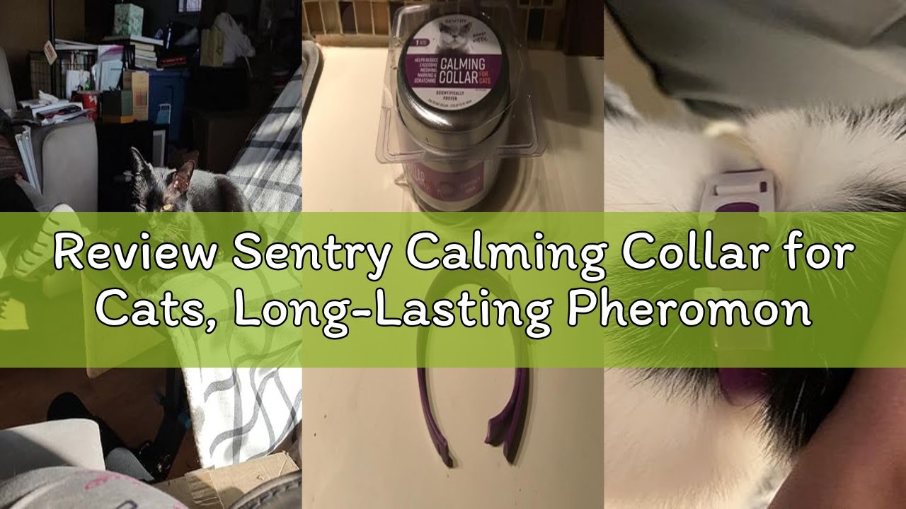 Review Sentry Calming Collar for Cats, Long-Lasting Pheromone Collar Helps Calm Cats for 30 Days, Re