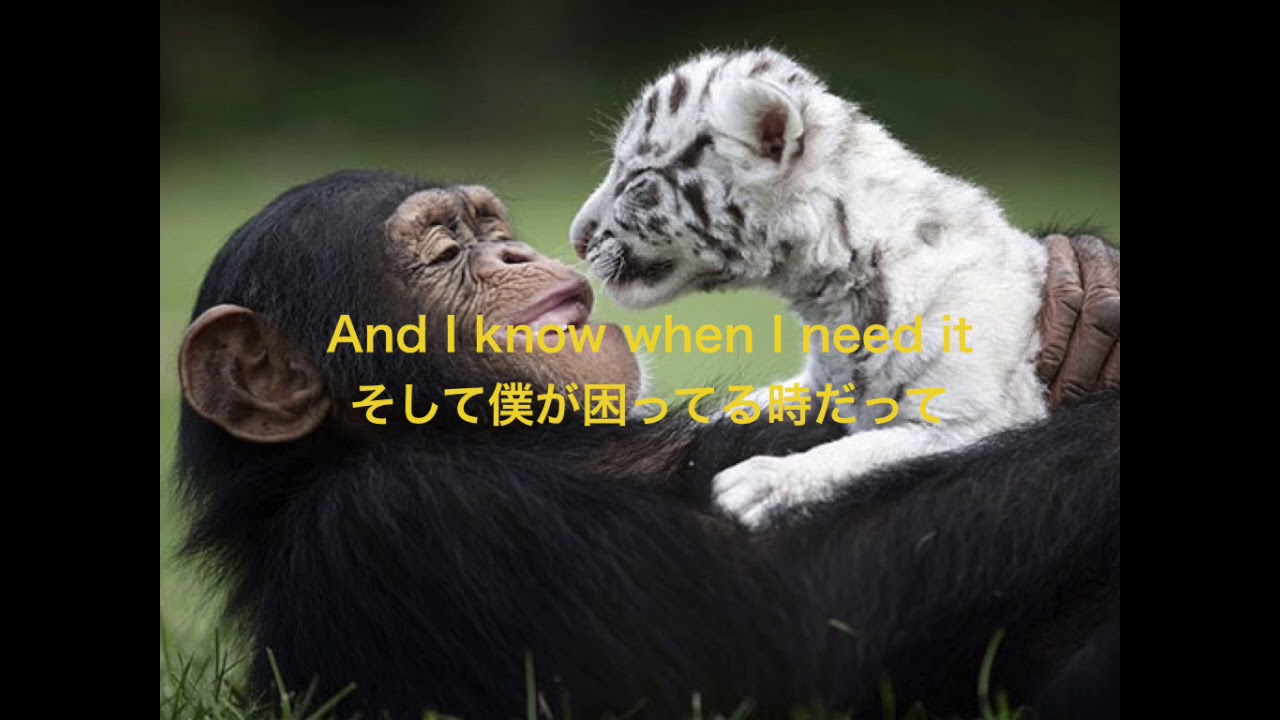 Bruno Mars(ブルーノ・マーズ) - Count On Me 和訳/日本語字幕/歌詞/lyrics