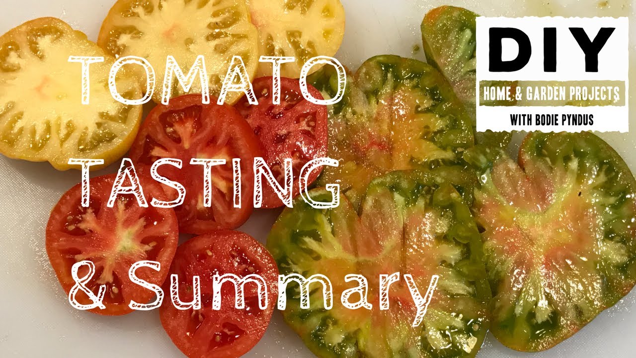 Tomato Tasting & Summary