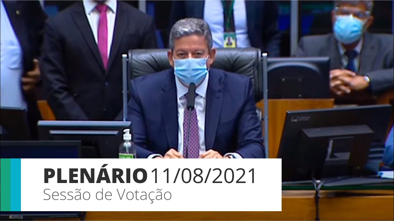 Plenário aprova cassação do mandato da deputada Flordelis - 11/08/2021*