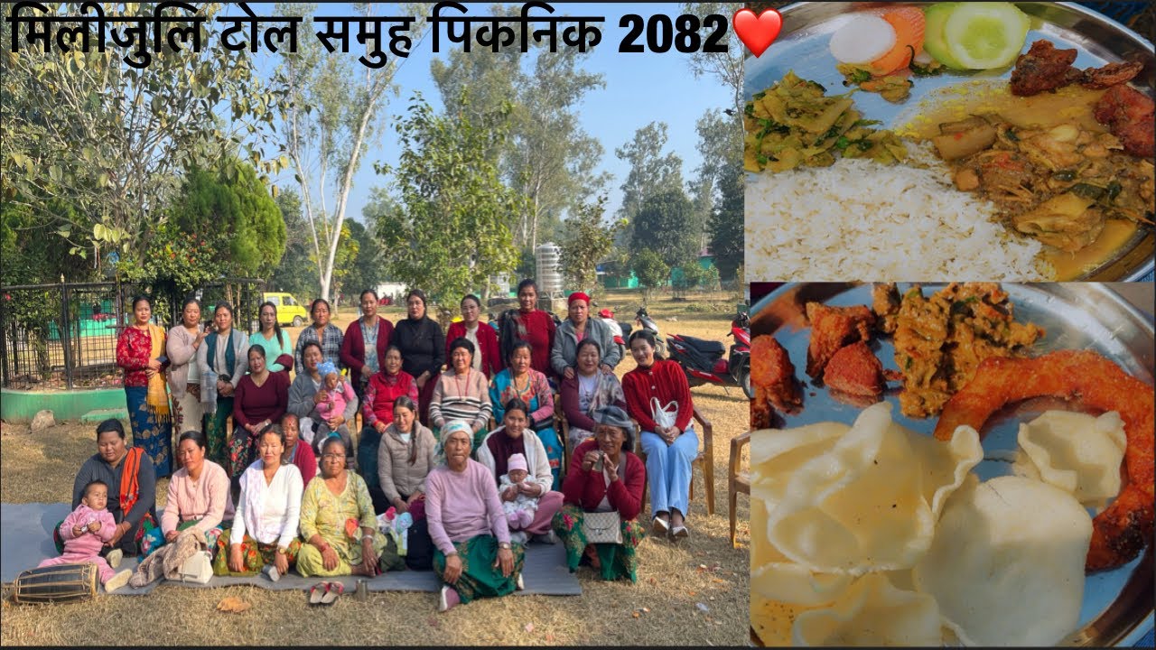 मिलीजुलि टोल समुह पिकनिक 2082❤️ #picnic #vlog 