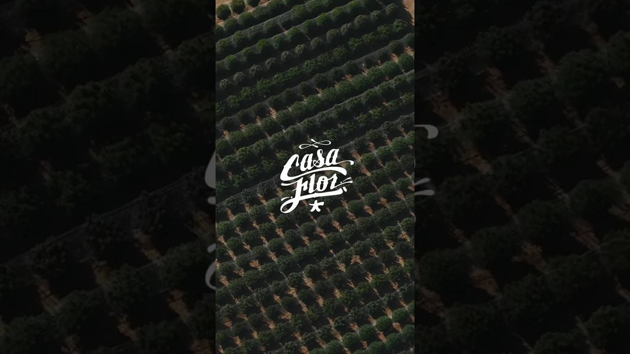Huntin through Triploids, OCP, Jelly Donutz and some 🤫 at CasaFlor with @humboldtseedcompany