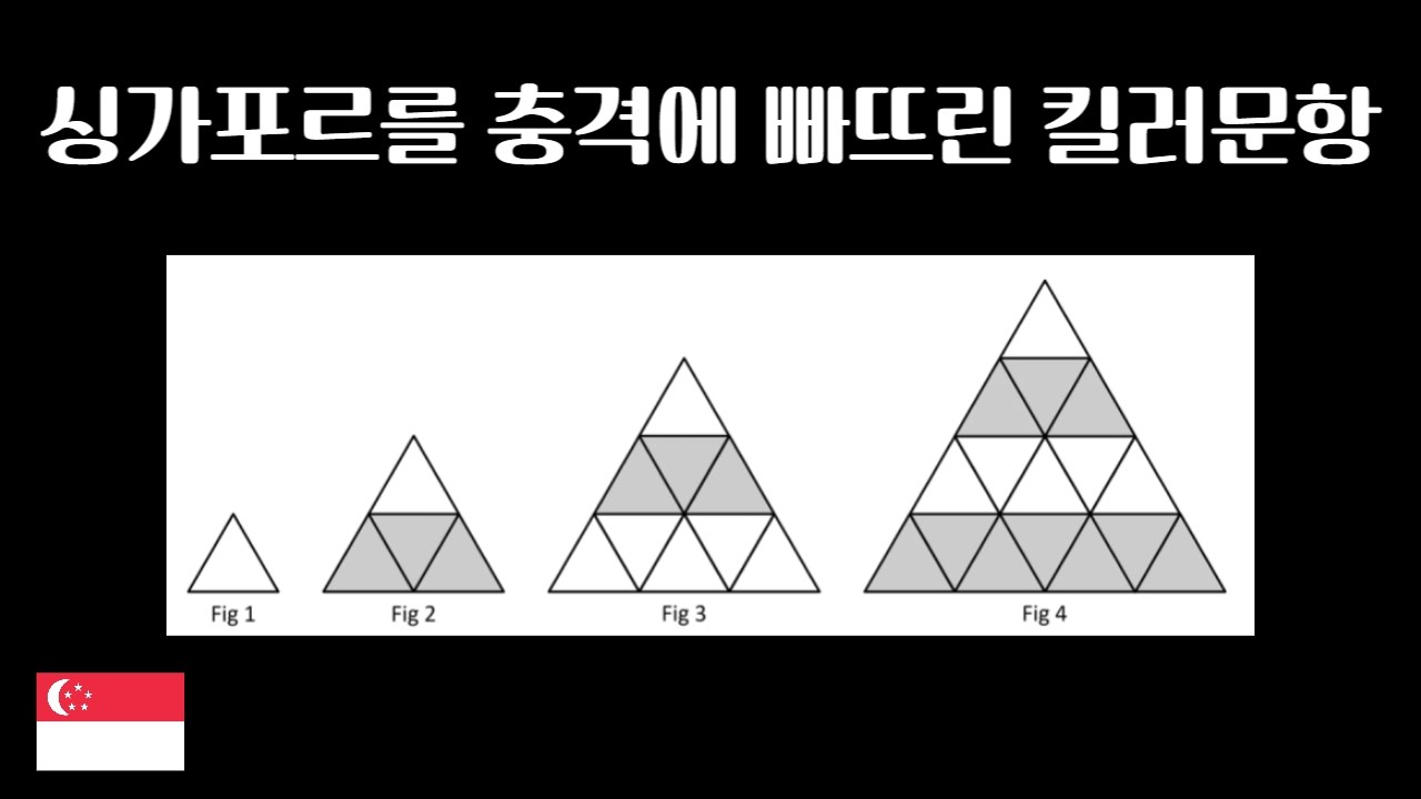 (풀영상) 싱가포르를 충격에 빠뜨린 킬러문항