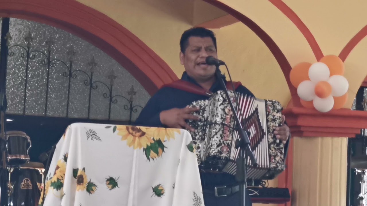 Hay viene el maestro Originales fuente de luz de ventura velasquez