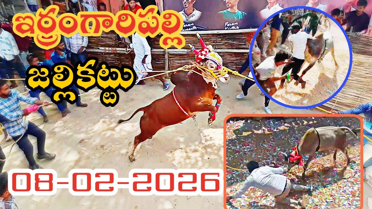 🤯 ఇర్రంగారిపల్లి పశువుల పండుగ 🔥 08-02-2026 Irramgaripalli Jallikattu 💥 | Telugu Jallikattu 🤩 | 