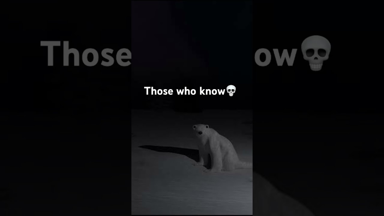 Now why im keeping posting a video about polar bear 2026