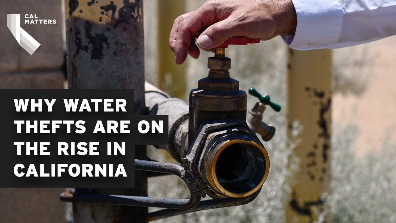 California drought, illegal marijuana farms lead to increase in water theft