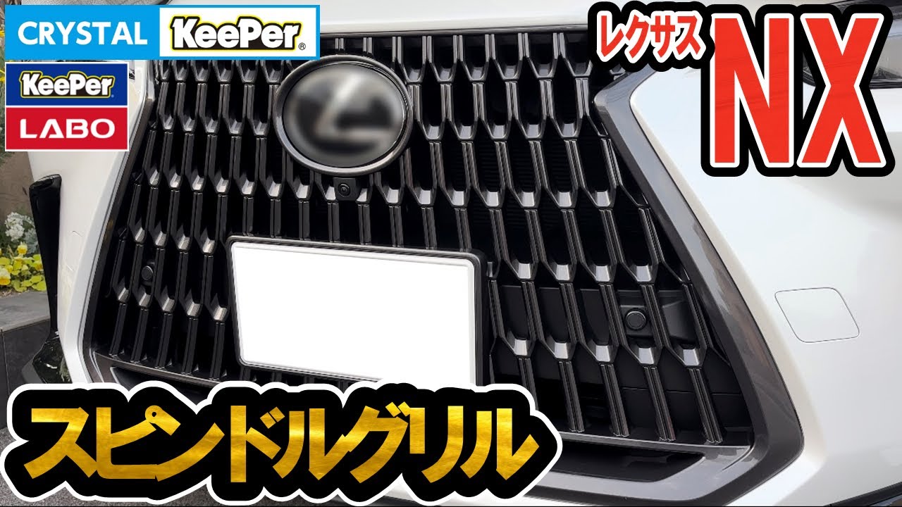 【4K】キーパーコーティング したレクサスNX250のスピンドルグリルをじっくり観察してみました#レクサス#レクサスnx #キーパーコーティング