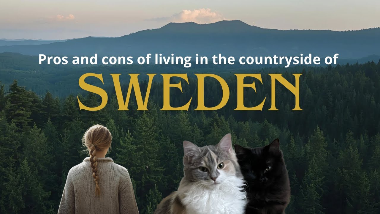Pros and cons of living in the countryside of Sweden | vlog | baking | DIY | cats 