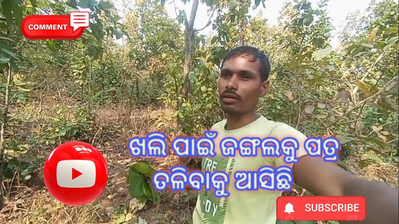 ଖଲି ପାଇଁ ଜଙ୍ଗଲକୁ ପତ୍ର ତଳିବାକୁ ଆସିଛି ll yourrajesh2 