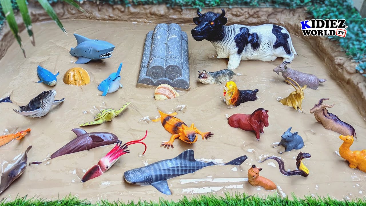 Learn Domestic and Sea Animals | Fun Playful Learning for Kids with Sounds | Kidiez World TV