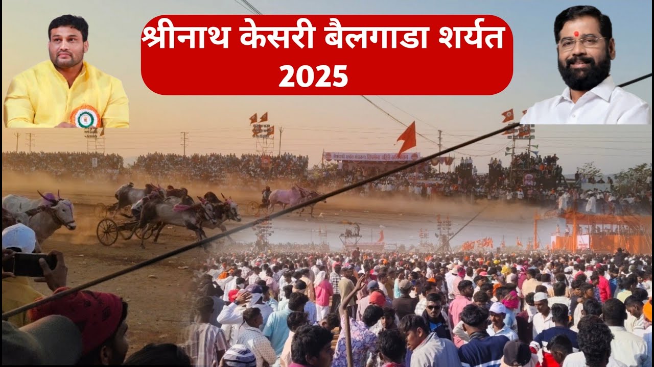 श्रीनाथ केसरी बैलगाडा शर्यत 2025 सांगली | बैलगाडा शर्यती vlog| #बैलगाडाशर्यत #bailgadasharyat #vlog