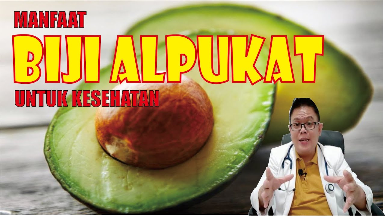 BIJI ALPUKAT.......... MEMPUNYAI MANFAAT YANG BAIK UNTUK KESEHATAN