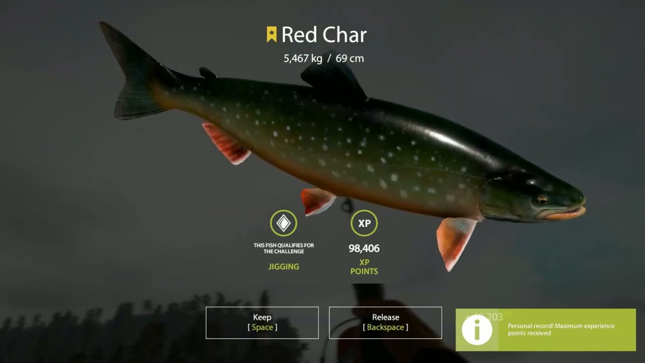 Ladoga Lake spot Char,Red Char,Pike,Zander | Russian fishing4