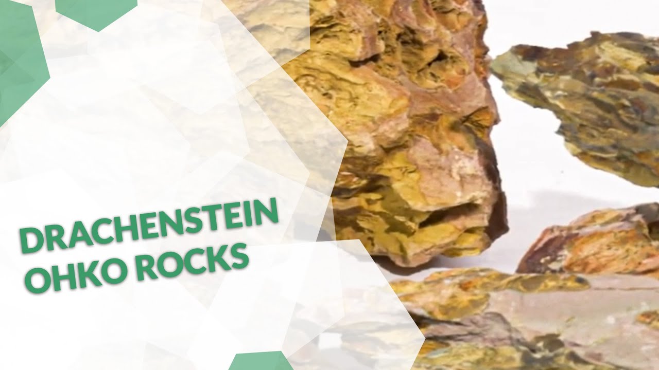 Drachenstein, Ohko-Stein  Aquascaping Einrichtungsbeispiel f&uuml;r Dein Aquarium und deine Garnelen