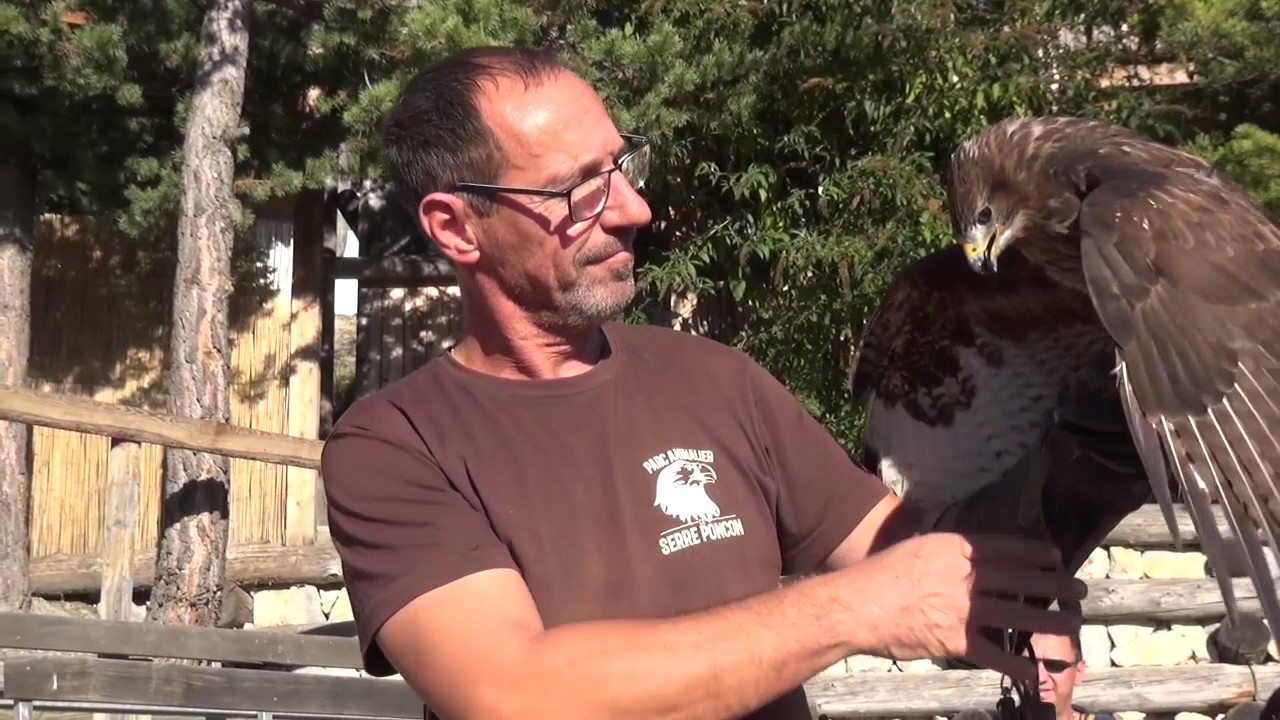 Parc Animalier de Serre Ponçon - Les Rapaces