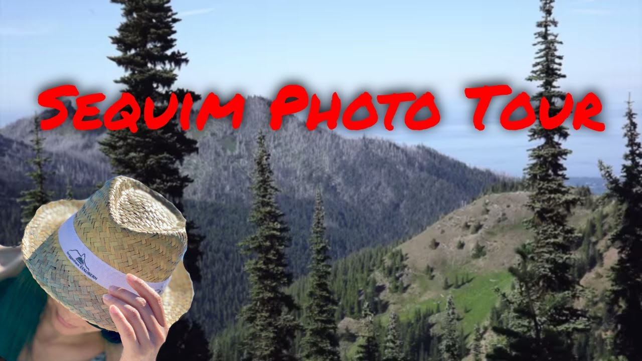 Sequim Photo Montage: Fun Photos Around Sequim Washington