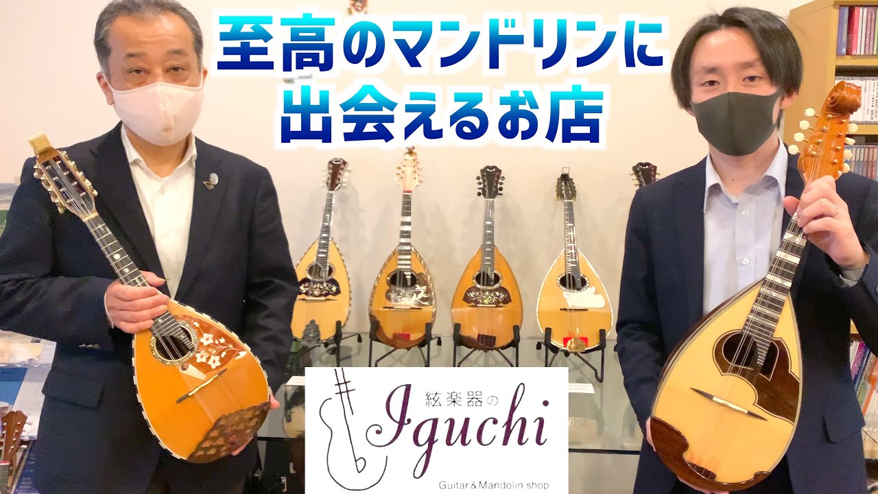 ビンテージ(オールド)マンドリンのイベントで絃楽器のイグチにお邪魔しました