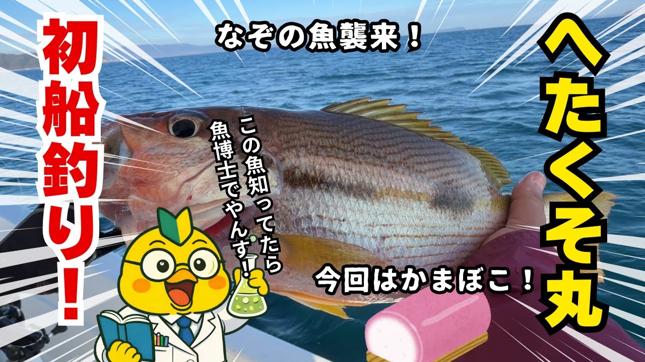 【タイラバ】へたくそ丸が初めて船釣りをやったら変な魚が釣れた結果