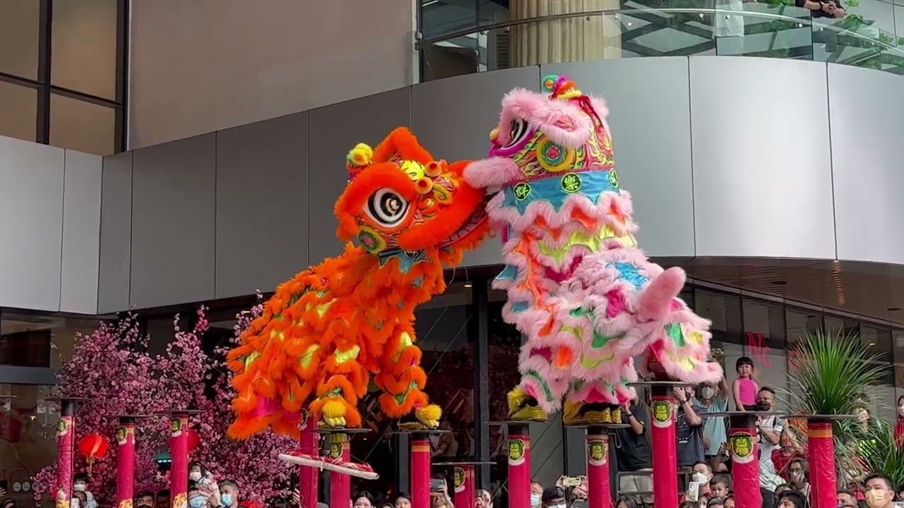 CNY 2023 ~ Acrobatic Lion Dance (舞狮高桩表演 M&uacute;a L&acirc;n) by Khuan Loke 群樂 @ The Starling (21/1/2023) 4k60p