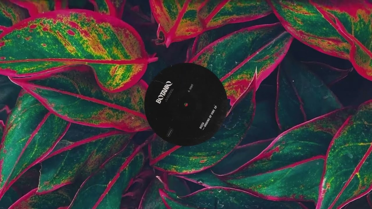 BizZa - Sight (Original Mix)
