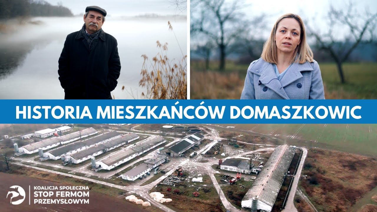 Życie w cieniu chlewni przemysłowej - z czym mierzą się mieszkańcy Domaszkowic?