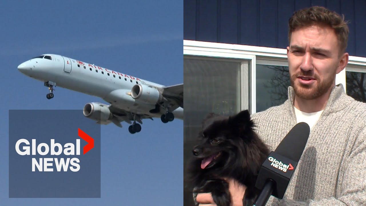 Путешественник из Британской Колумбии призывает Air Canada улучшить свою политику в отношении дом...