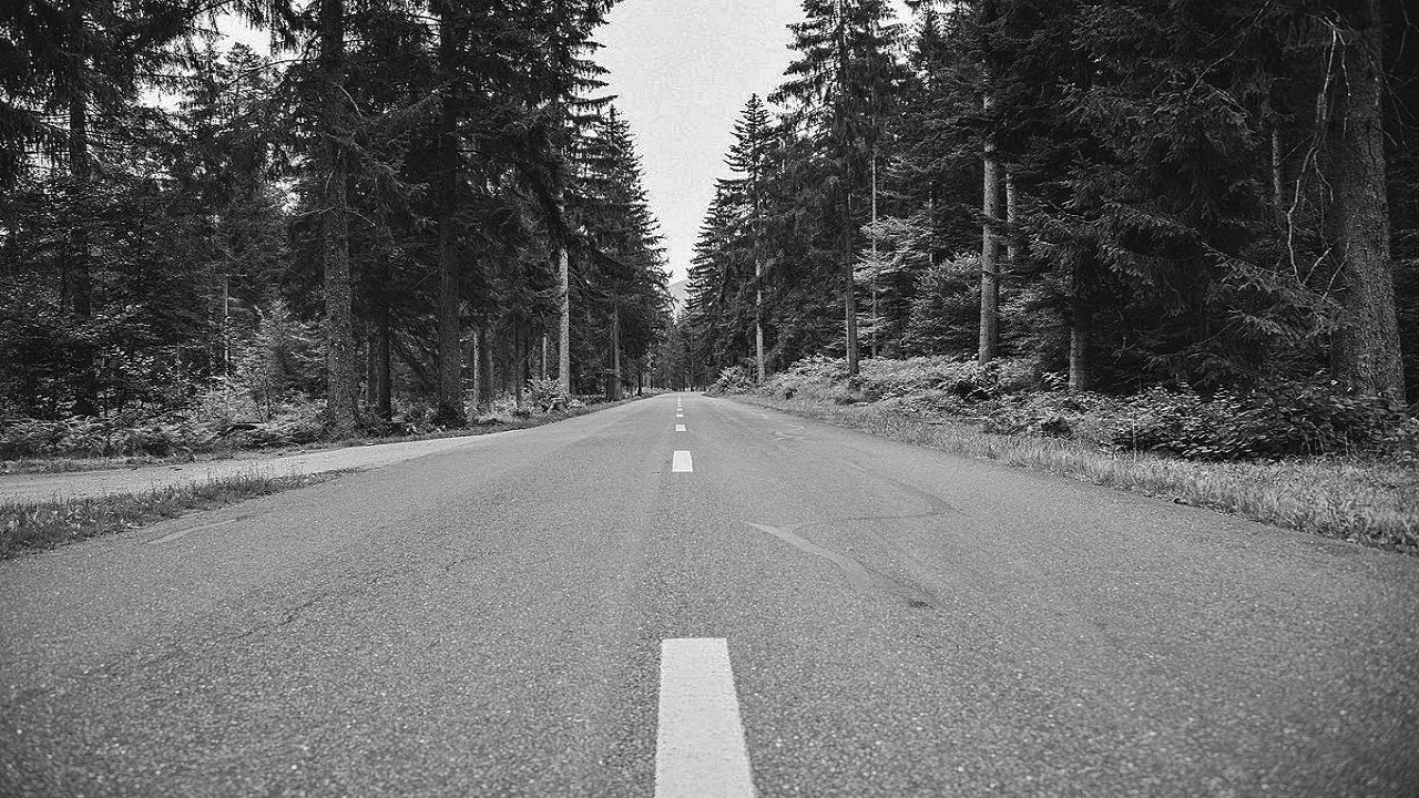 Das Steinbett - Krimi Hörspiel