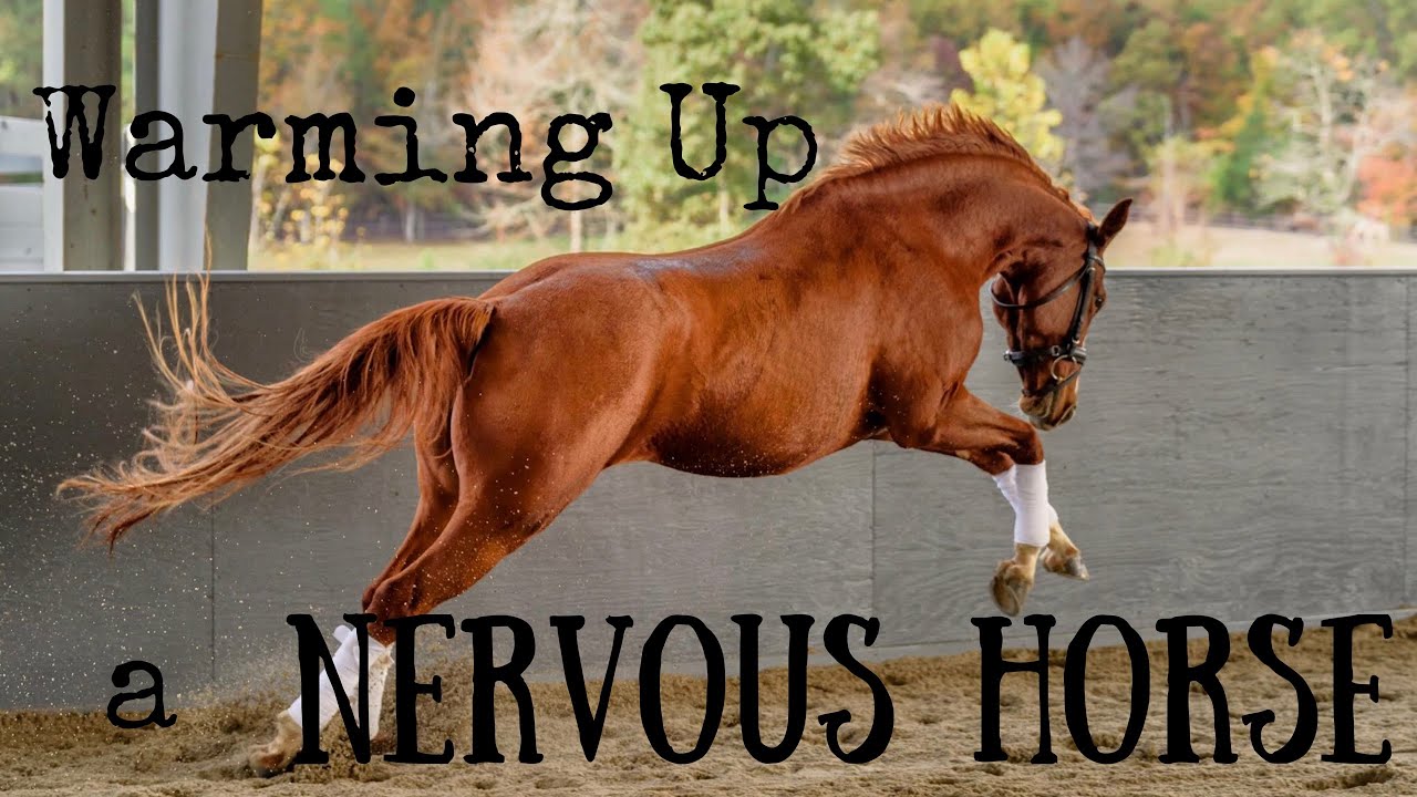 Tips on warming up a NERVOUS HORSE