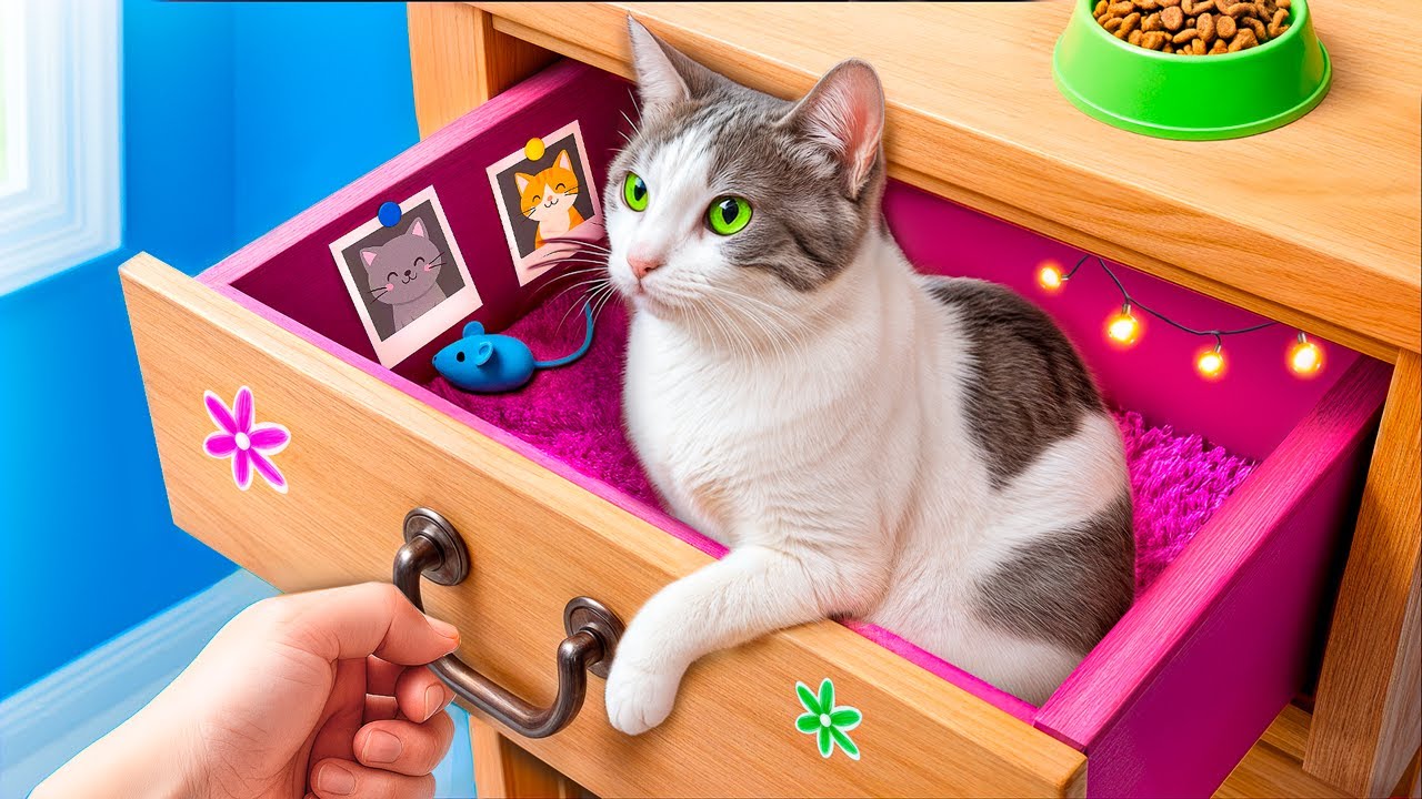 Geheimes Katzenhaus im Сloset! Wir bauen ein geheimes Zimmer für Haustiere!