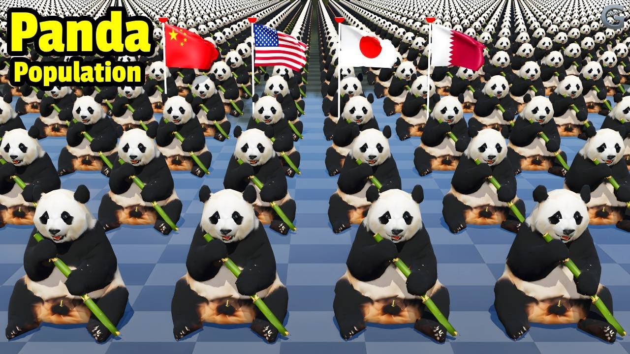 Panda Population by Country 2025 | Comparison Video