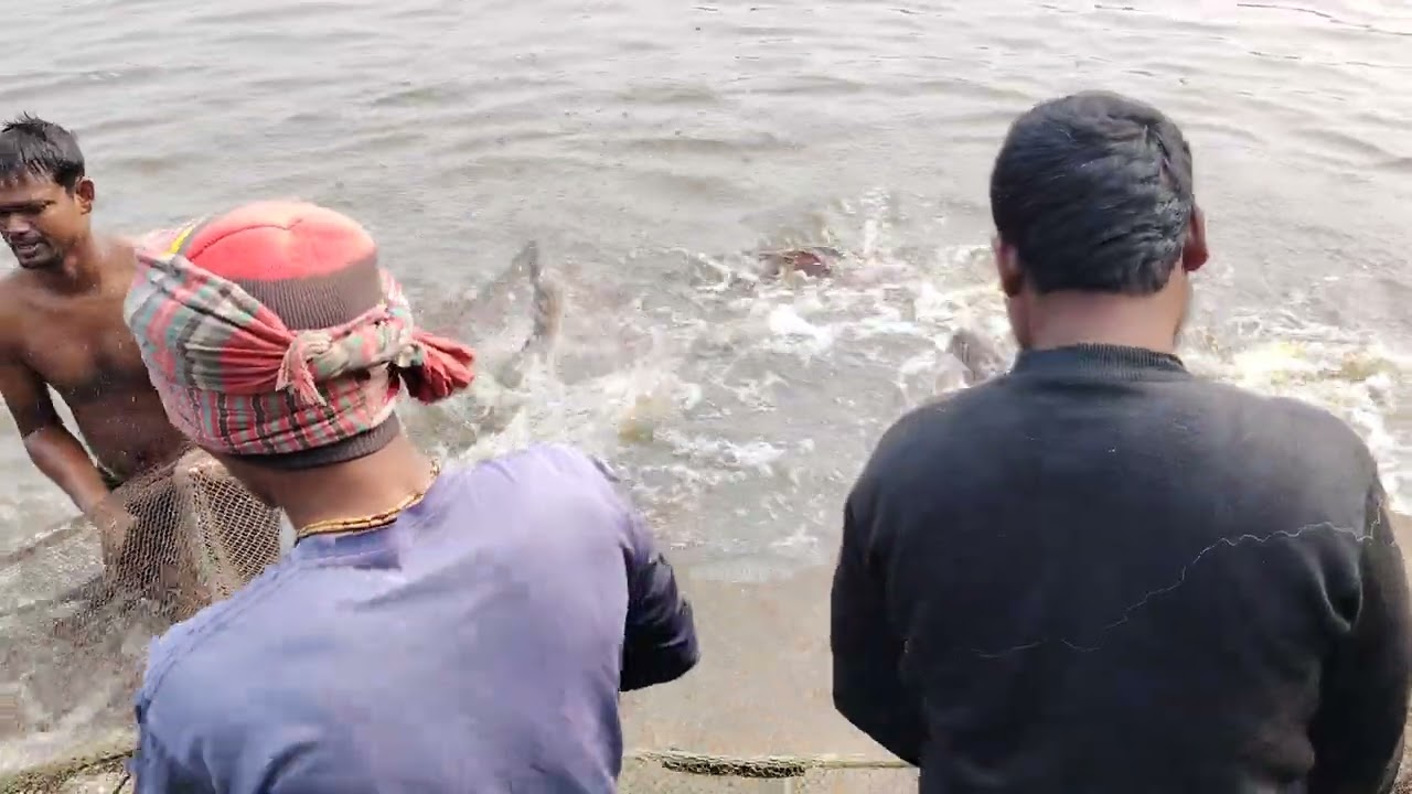 আপেল সিটিতে  টিকিটের জন্য জাল টেনে মাছ দেখা