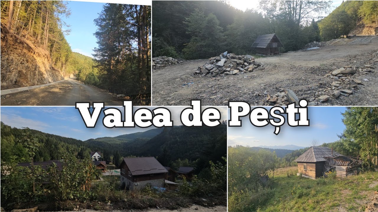 Drum nou pe Valea de Pești în munți
