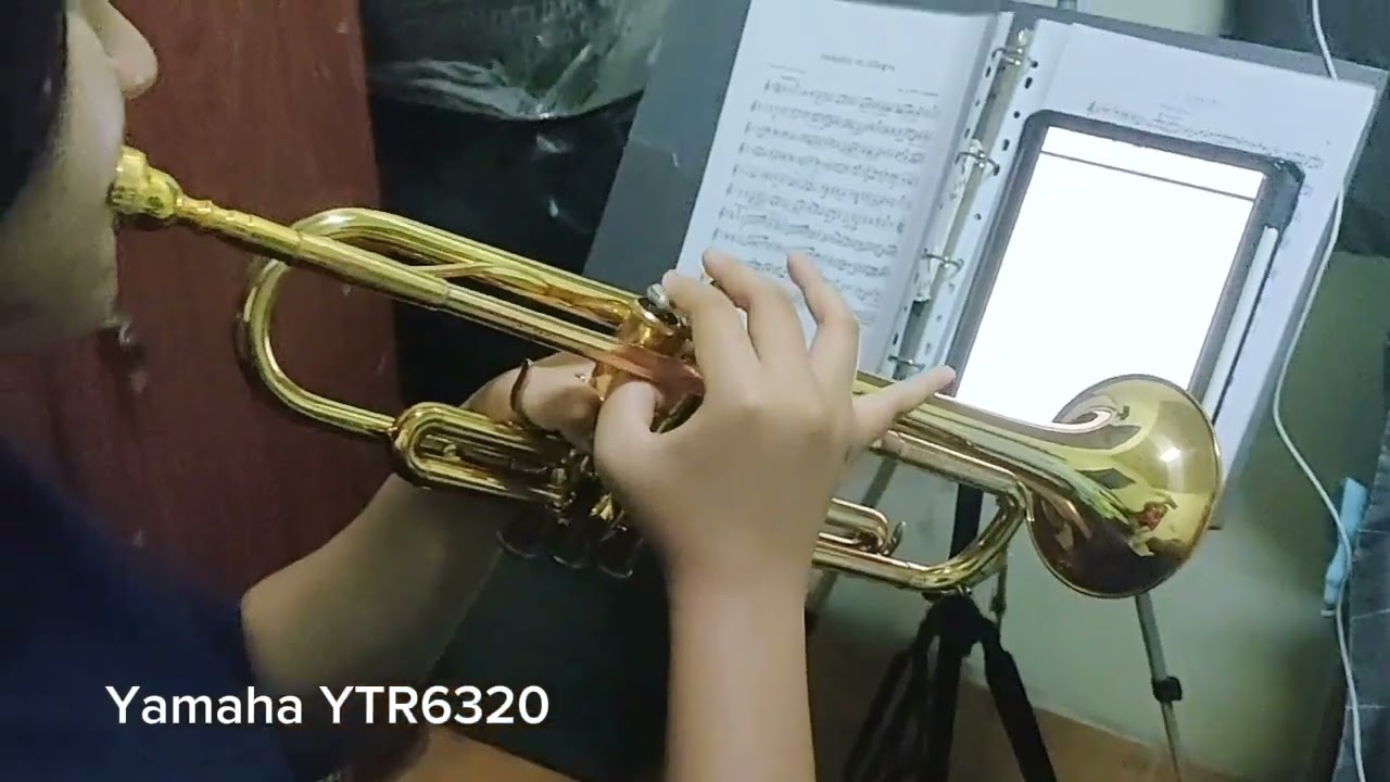 Mi-re #trumpet player, #Yamaha and #Bach