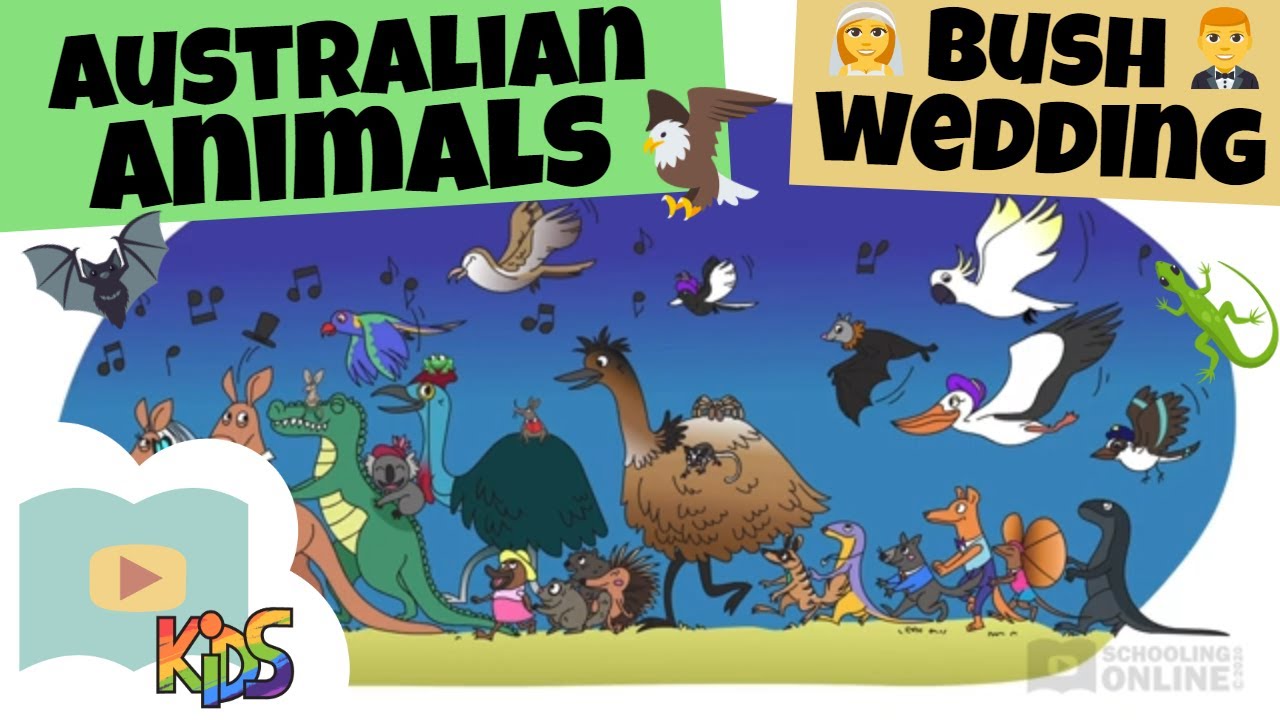 Learn About Australian Animals! | An Australian Bush Wedding