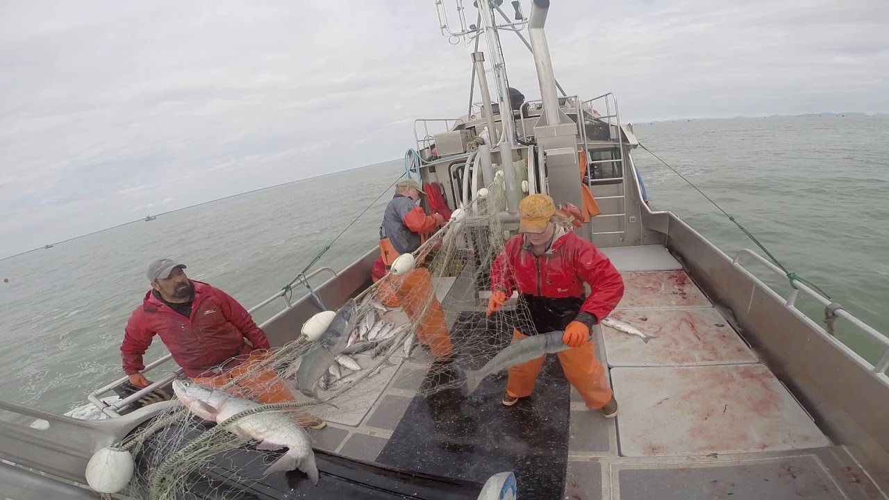 F/V Highball 2018 Bristol Bay Season