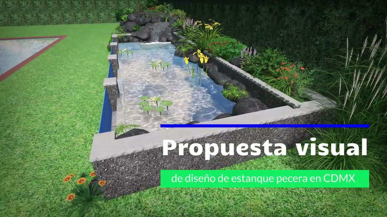 Proyecto de construcción de estanque pecera en CDMX con sistema de filtración avanzada con cascada.