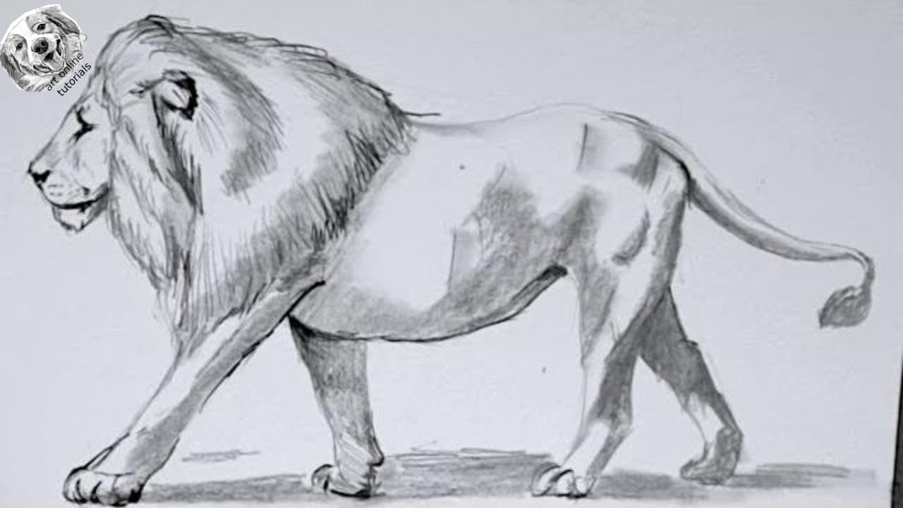 Drawing a Lion in Motion: Pencil Sketching Techniques