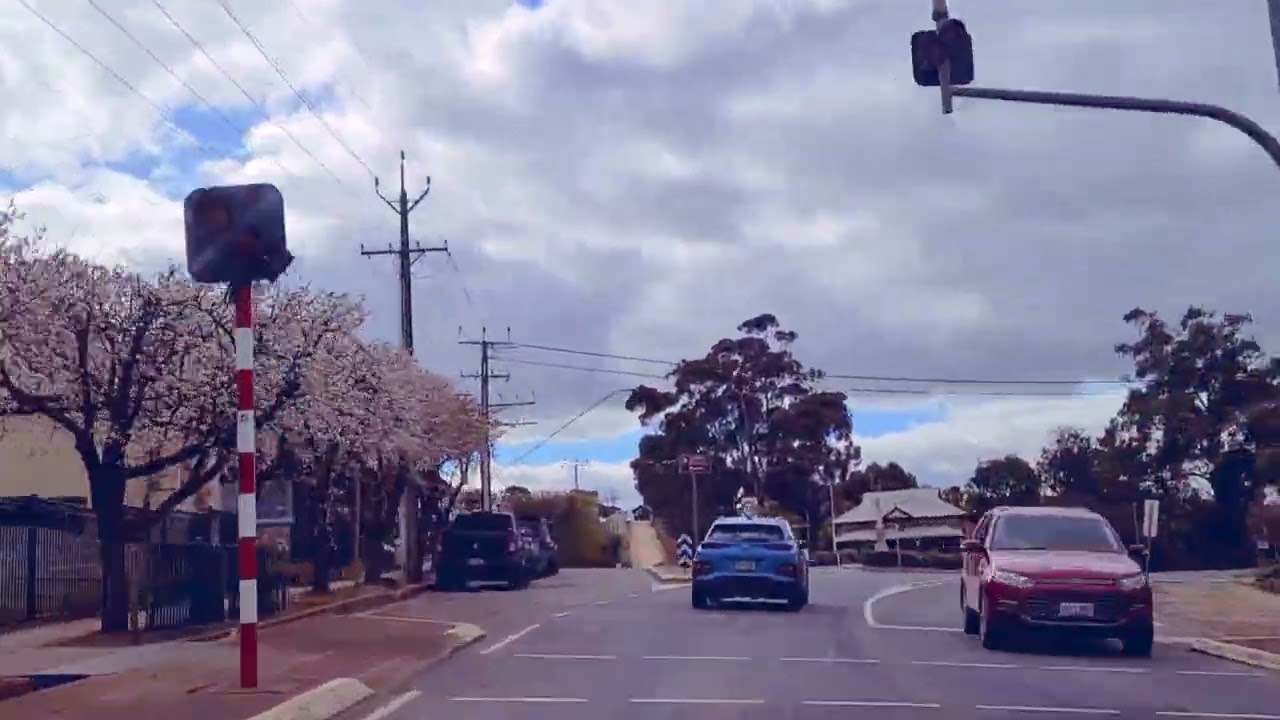 Road Trip to Clare Valley, South Australia