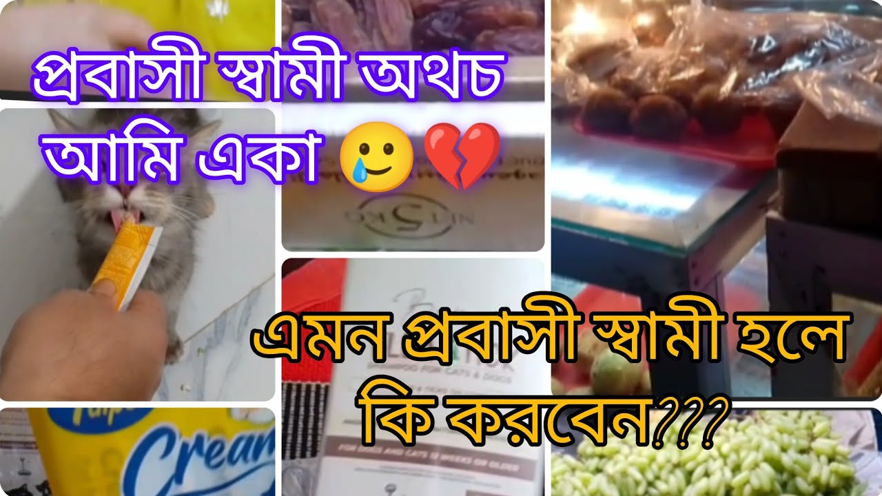 ৩ লাখ আয়, তবু বউ-বাচ্চার খরচ ৭ হাজার!এটাই কি প্রবাসীর সংসার? বউ কি শুধু কাজের মানুষ নাকি 